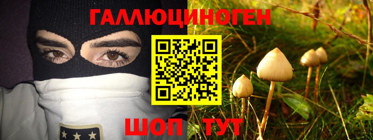 Псилоцибиновые грибы Psilocybine cubensis Подольск